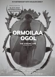 Ormoilaa Ogol poster